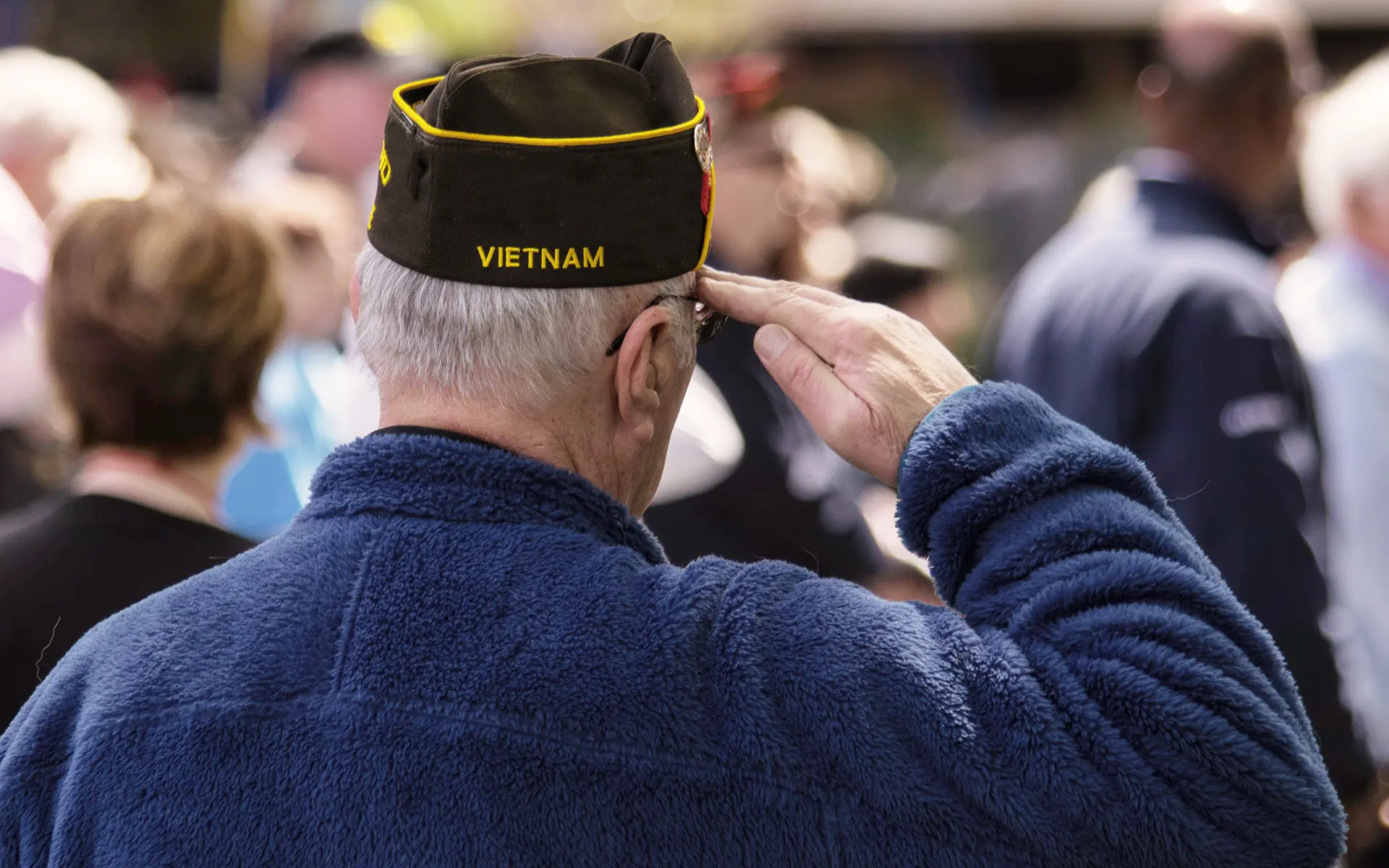 A back view of an elderly Vietnam Veteran saluting in a crowd.