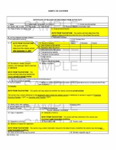 Sample DD 214 form