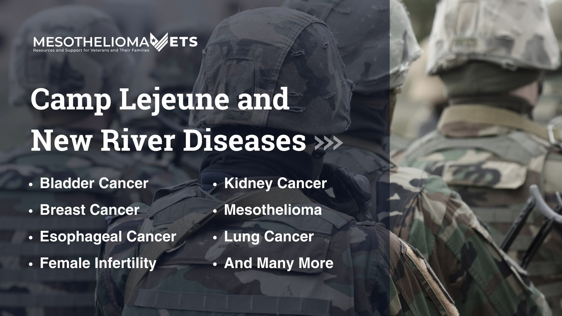 Infographic showing Camp Lejeune and New River Diseases, including Bladder Cancer, Breast Cancer, Esophageal Cancer, Female Infertility, Kidney Cancer, Mesothelioma, Lung Cancer, And Many More.