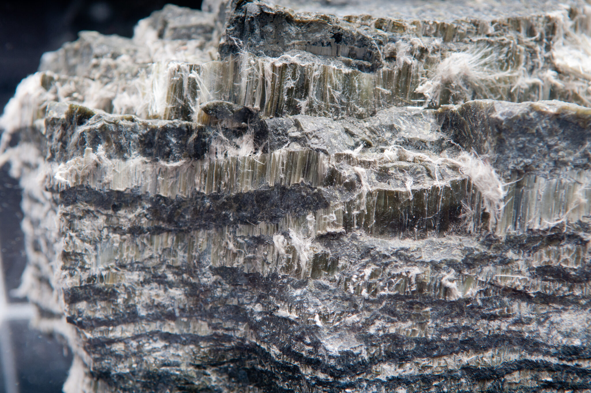 Asbestos chrysotile fibers that can cause lung disease and mesothelioma